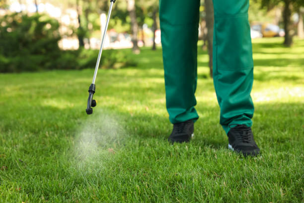 Best Mosquito Control Services  in Bloomingburg, OH