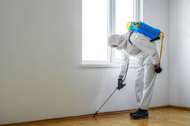 Best Commercial Pest Control Services  in Bloomingburg, OH
