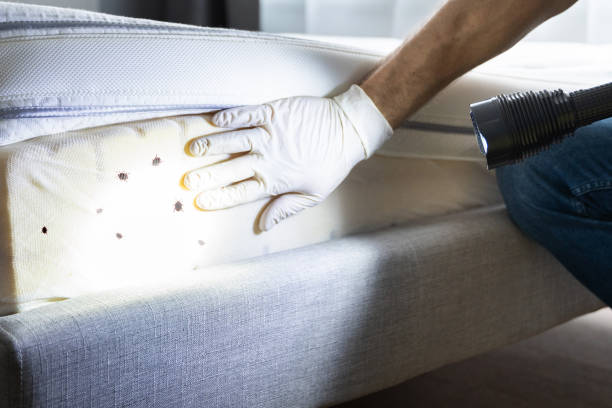 Trusted Bloomingburg, OH Pest Control Experts