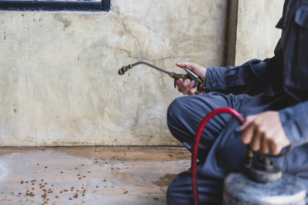 Best Wasp Removal Services  in Bloomingburg, OH